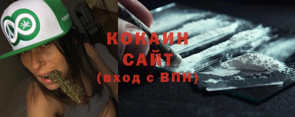гидра Няндома