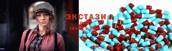 гидра Няндома