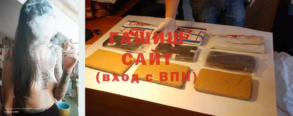 гидра Няндома
