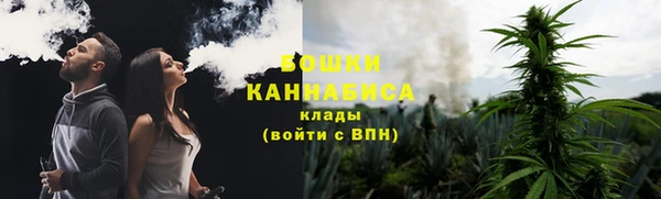 гидра Няндома
