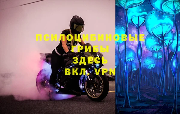 гидра Няндома