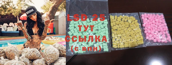 гидра Няндома