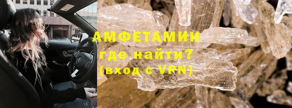 гидра Няндома