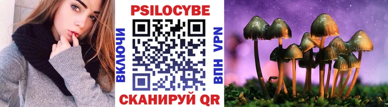 магазин    Приволжск  Псилоцибиновые грибы Psilocybe 